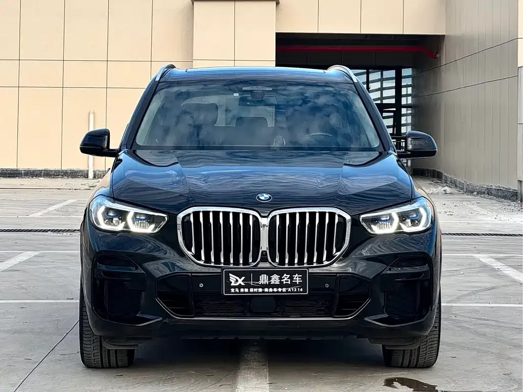 BMW X5 (Import) 2022 из CN, фото 2