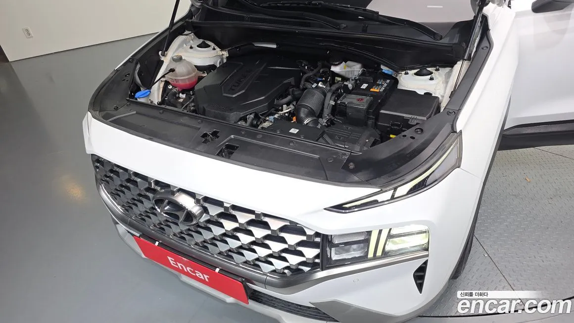 Hyundai Santafe 2021 из KR, фото 6
