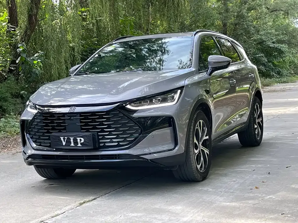 BYD Tang New Energy 2025 из CN, фото 1