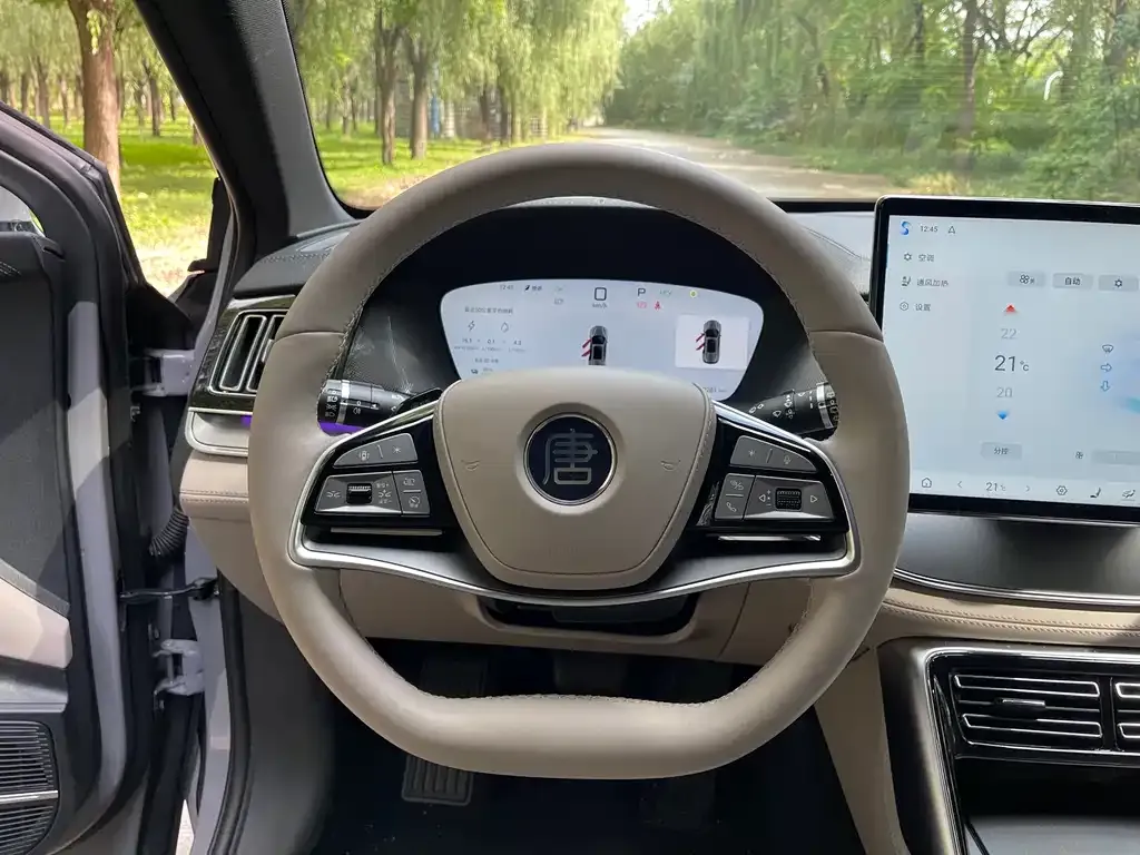 BYD Tang New Energy 2025 из CN, фото 10