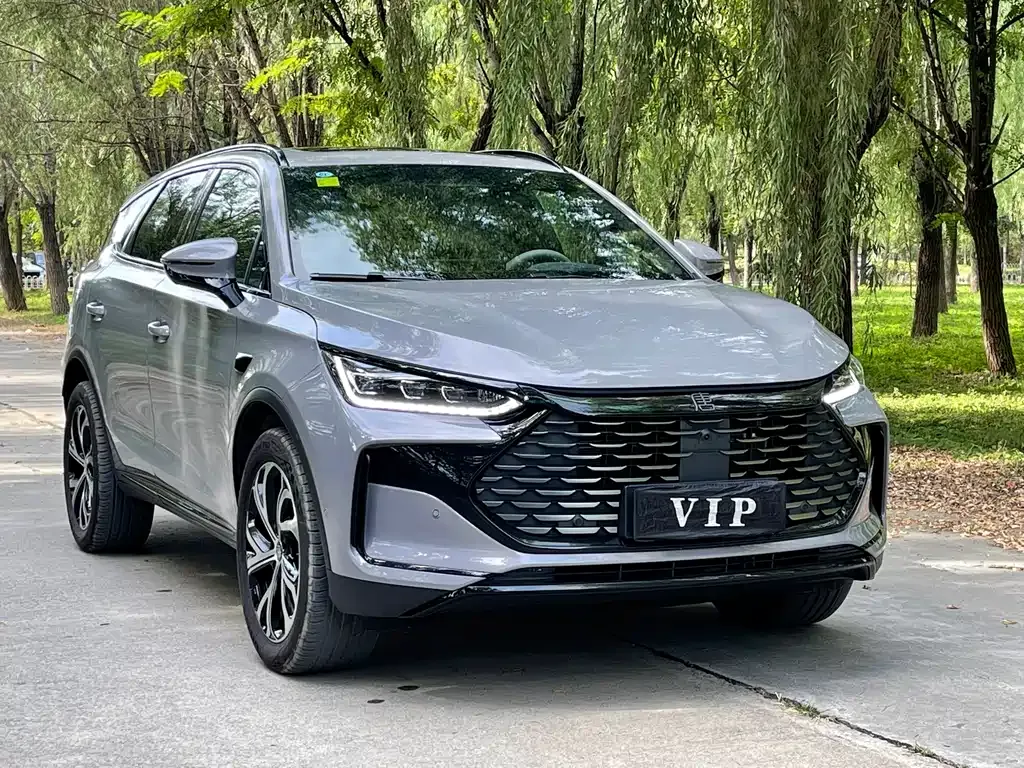 BYD Tang New Energy 2025 из CN, фото 3