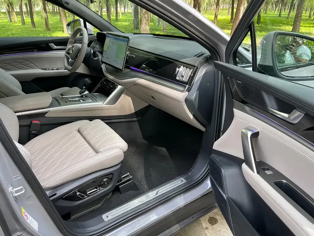 BYD Tang New Energy 2025 из CN, фото 6