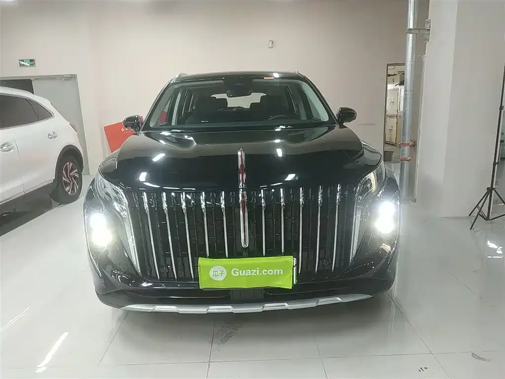 Hongqi HS7 PHEV 2024 из CN, фото 3