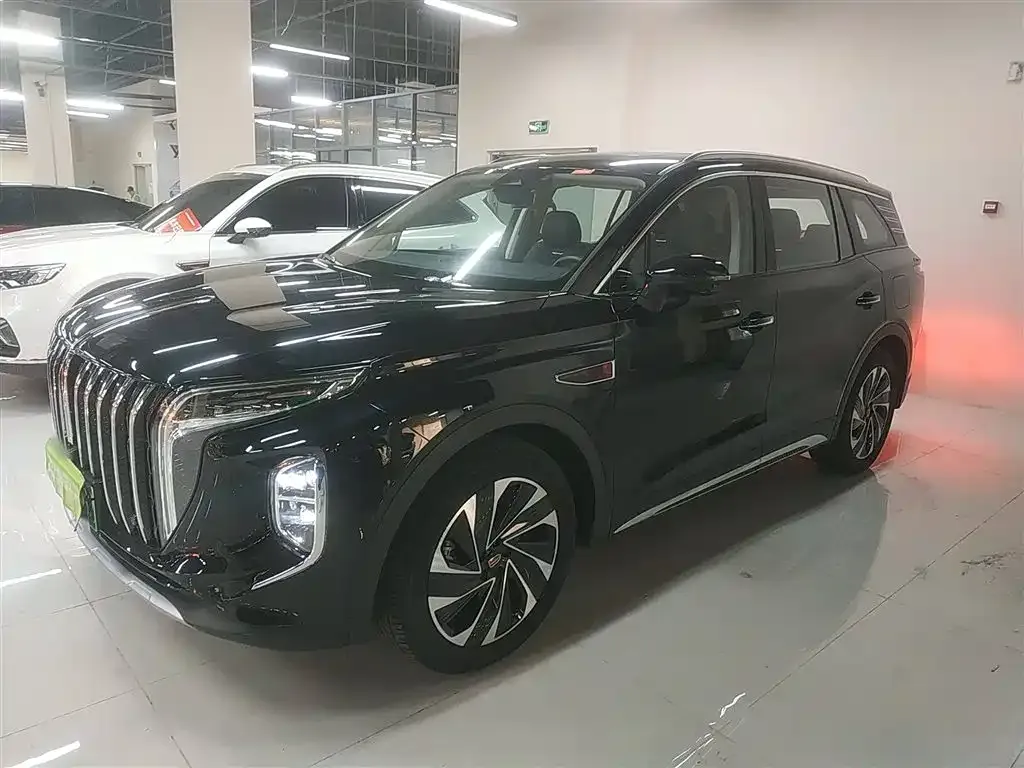 Hongqi HS7 PHEV 2024 из CN, фото 5