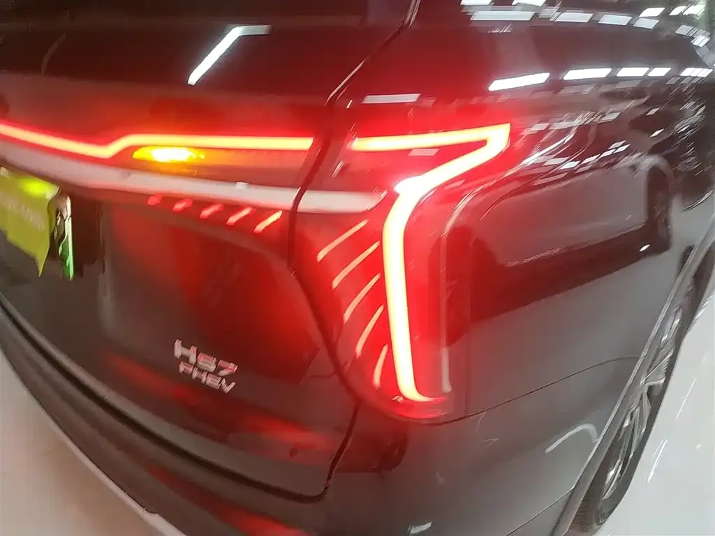 Hongqi HS7 PHEV 2024 из CN, фото 8