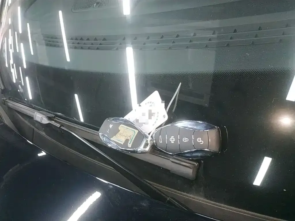 Hongqi HS7 PHEV 2024 из CN, фото 9