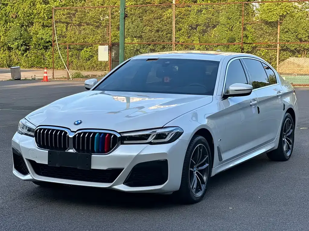 BMW 5 Series 2023 из CN, фото 1