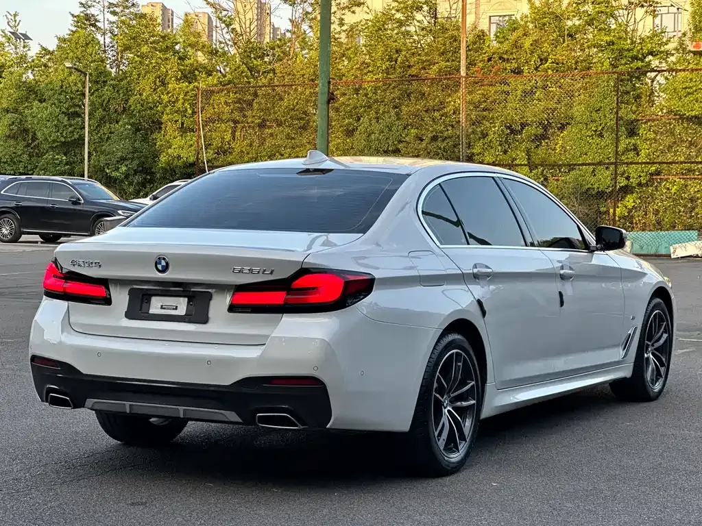 BMW 5 Series 2023 из CN, фото 10
