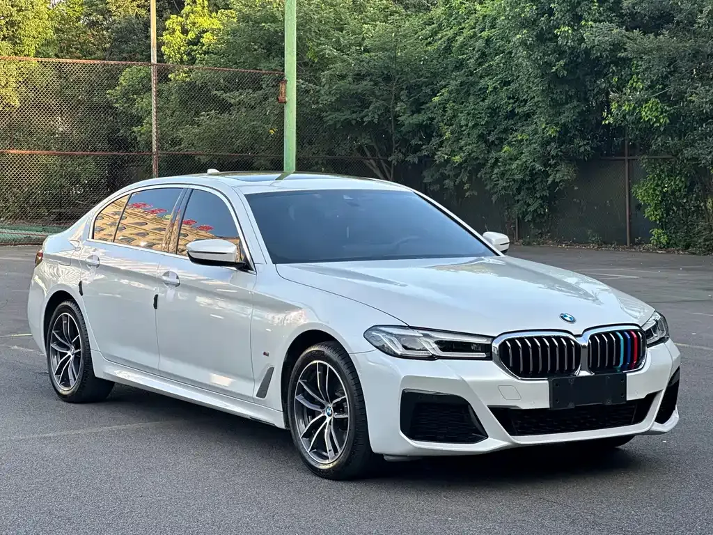 BMW 5 Series 2023 из CN, фото 3