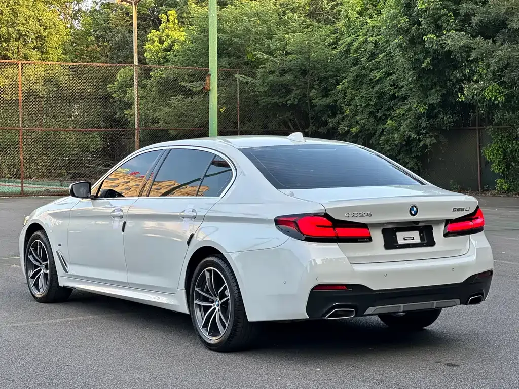 BMW 5 Series 2023 из CN, фото 8