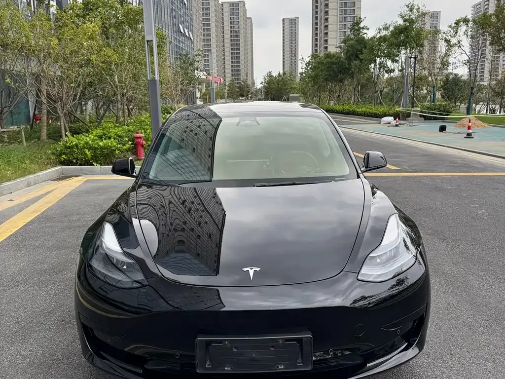 Tesla Model 3 — фото 2