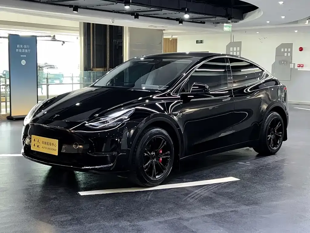 Tesla Model Y — фото 1