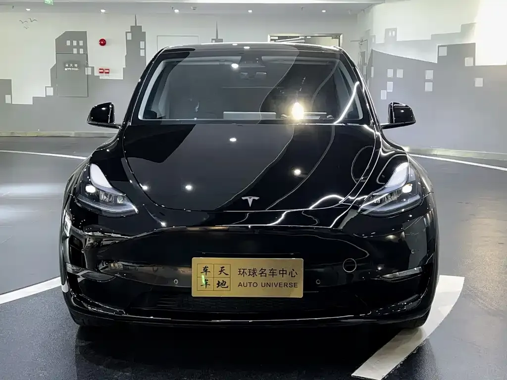 Tesla Model Y — фото 2