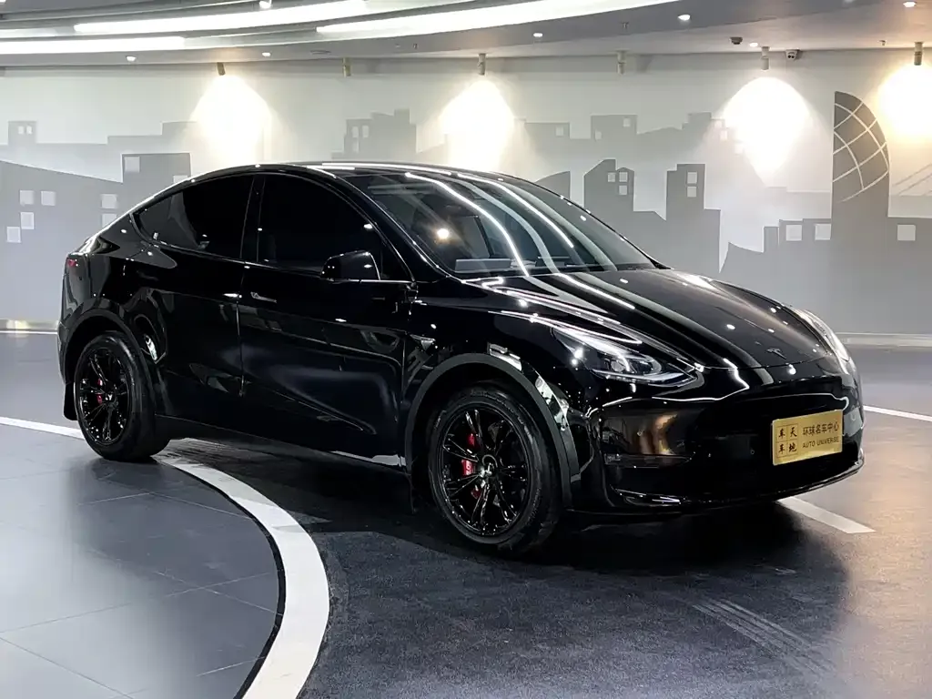 Tesla Model Y — фото 3