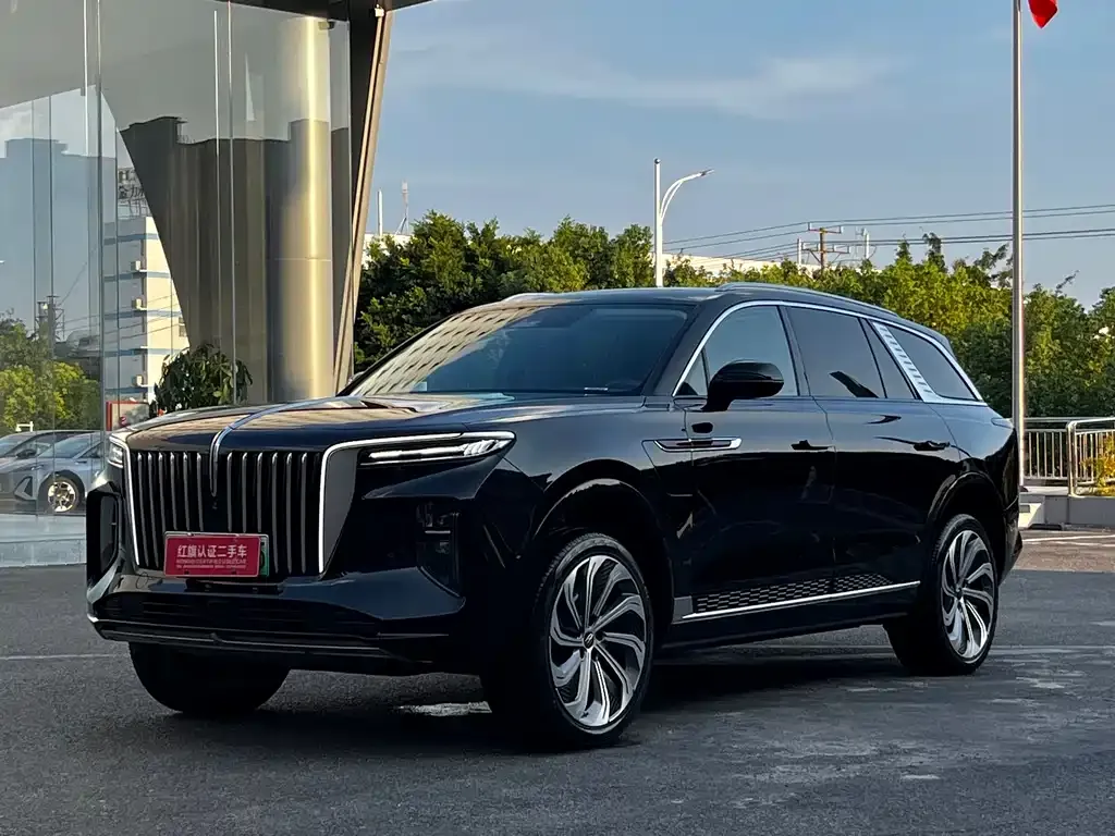 Hongqi E-HS9 2025 из CN, фото 1