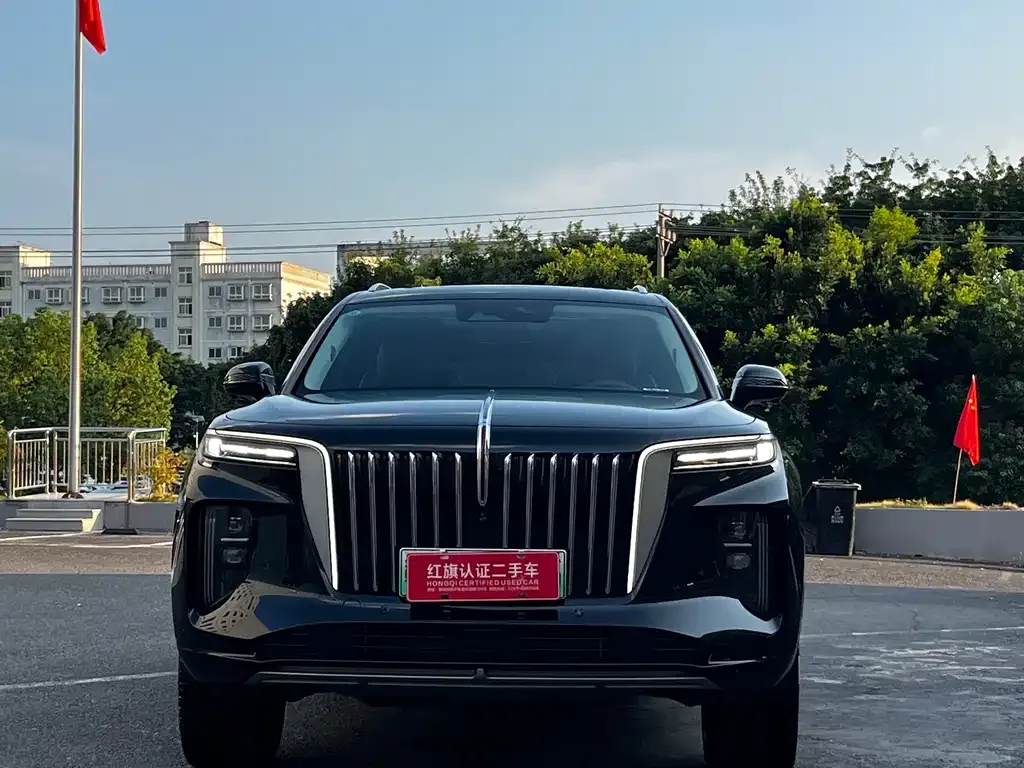 Hongqi E-HS9 2025 из CN, фото 2