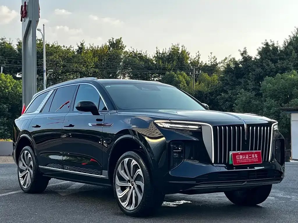 Hongqi E-HS9 2025 из CN, фото 3