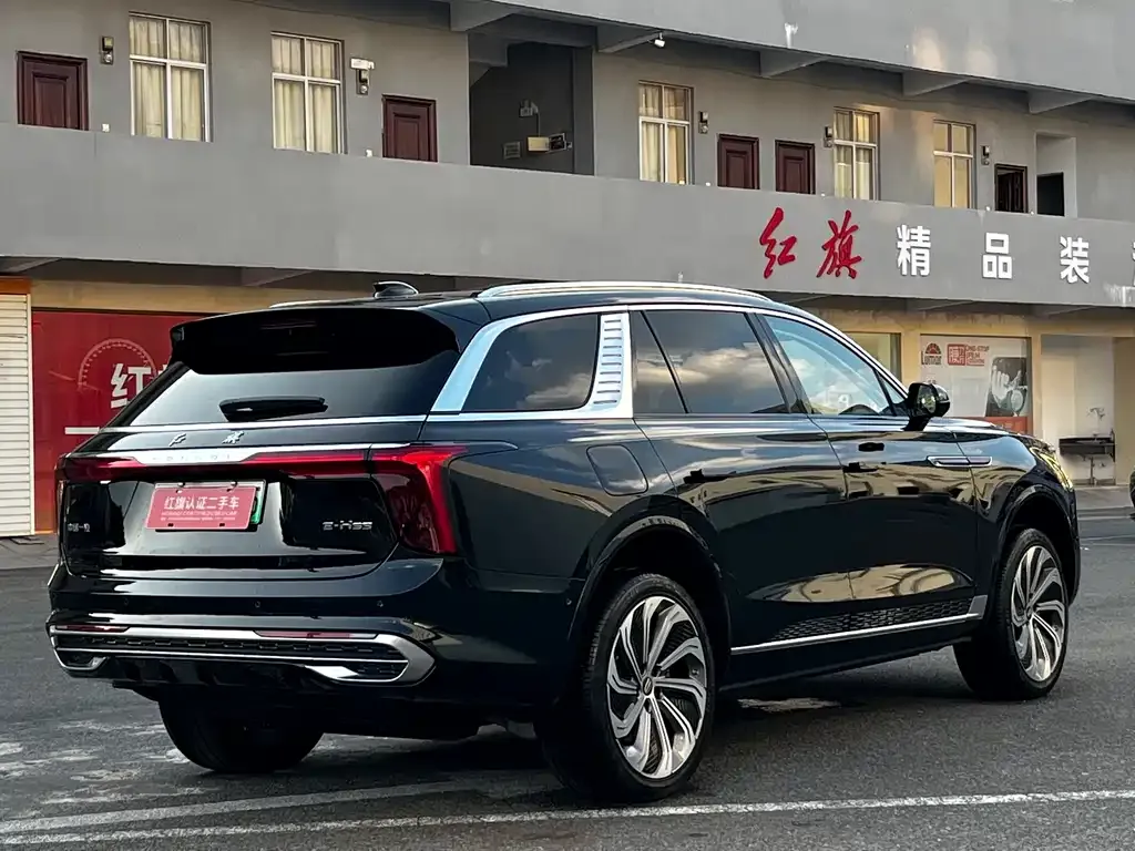 Hongqi E-HS9 2025 из CN, фото 4