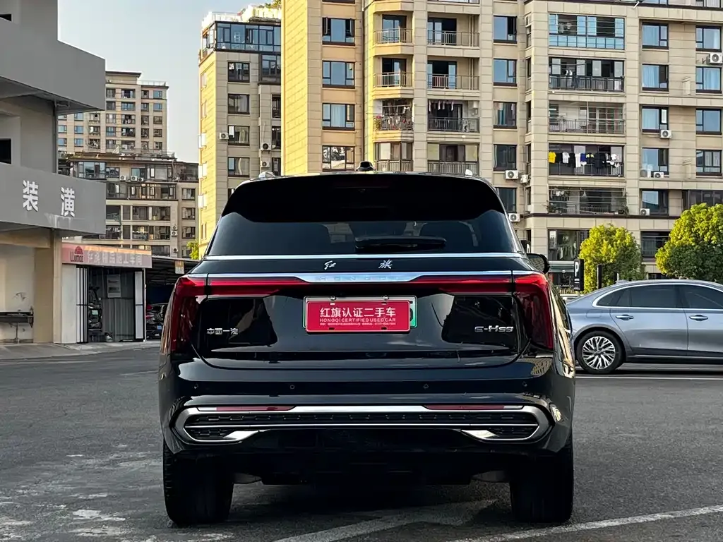 Hongqi E-HS9 2025 из CN, фото 5
