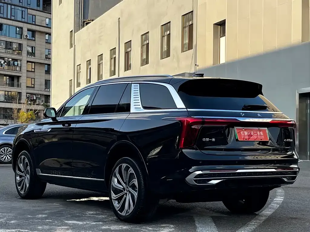 Hongqi E-HS9 2025 из CN, фото 6