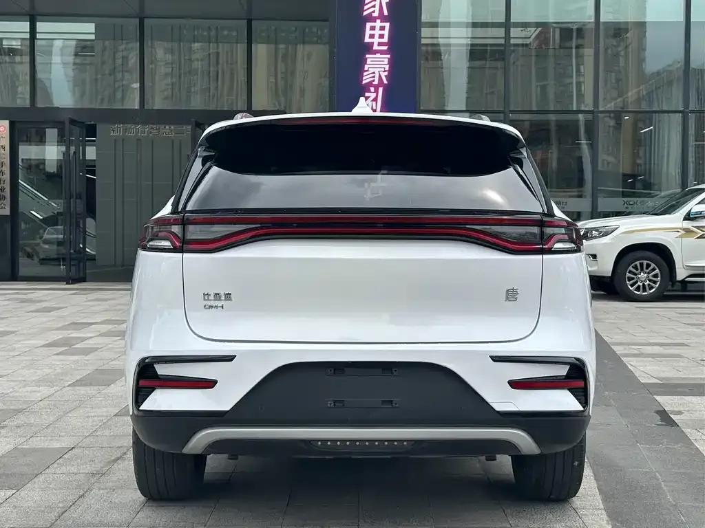 BYD Tang New Energy 2021 из CN, фото 6