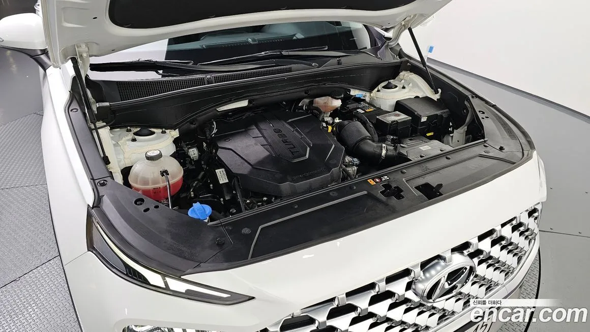 Hyundai Santafe 2021 из KR, фото 6