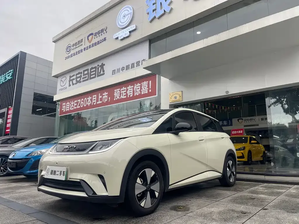 BYD Dolphin 2024 из CN, фото 1