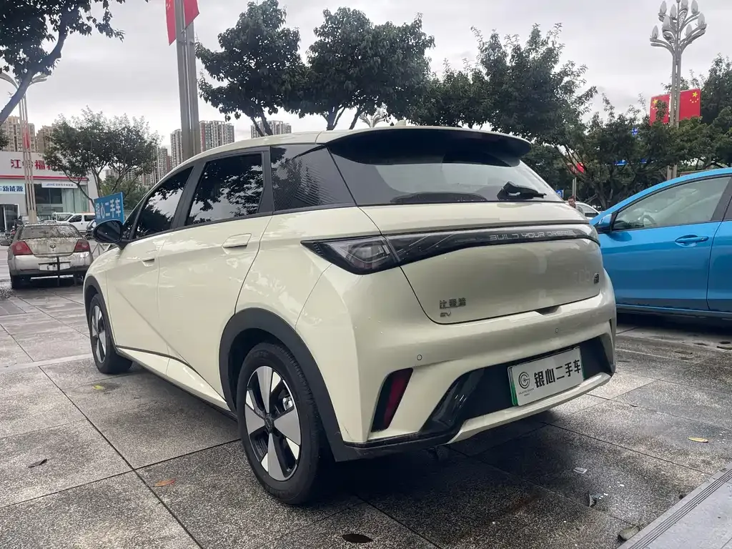 BYD Dolphin 2024 из CN, фото 4