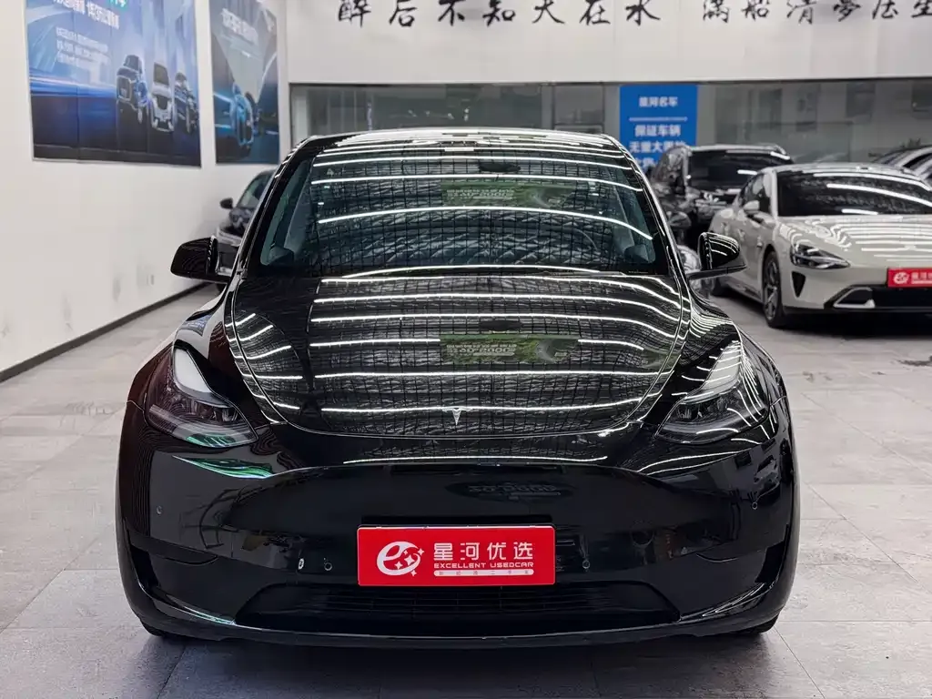 Tesla Model Y — фото 2