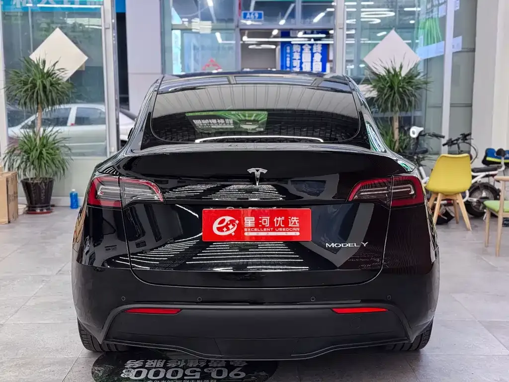 Tesla Model Y — фото 6