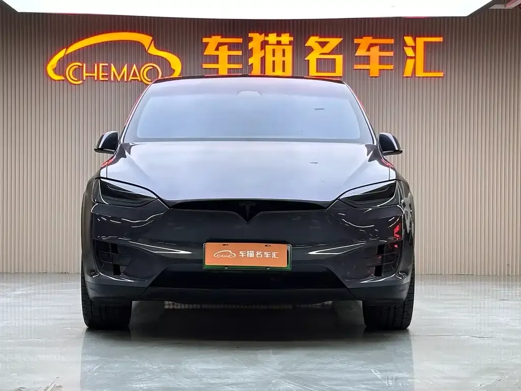 Tesla Model X 2021 из CN, фото 2