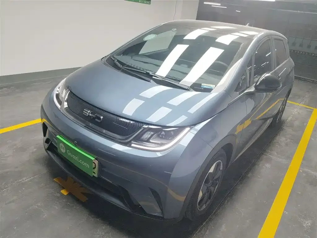 BYD Dolphin 2024 из CN, фото 1