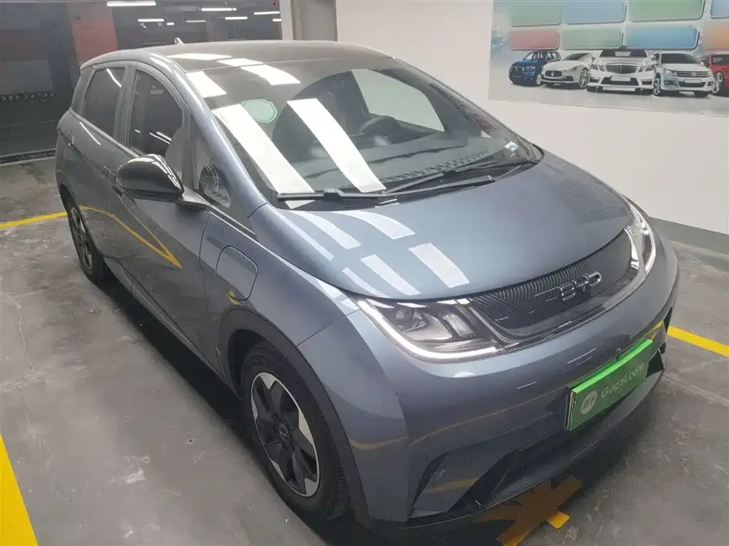 BYD Dolphin 2024 из CN, фото 4