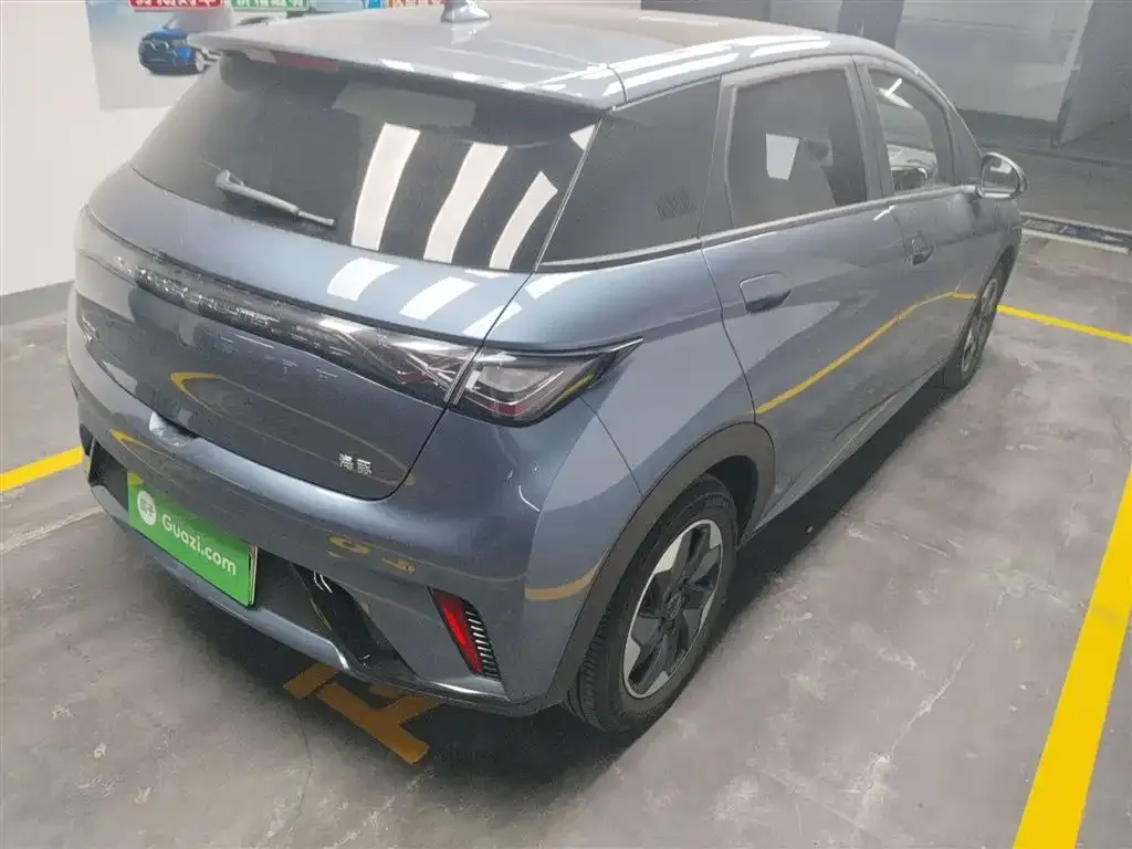 BYD Dolphin 2024 из CN, фото 7