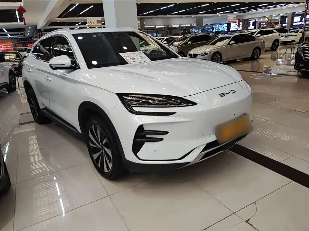 BYD PLUS New Energy — фото 4
