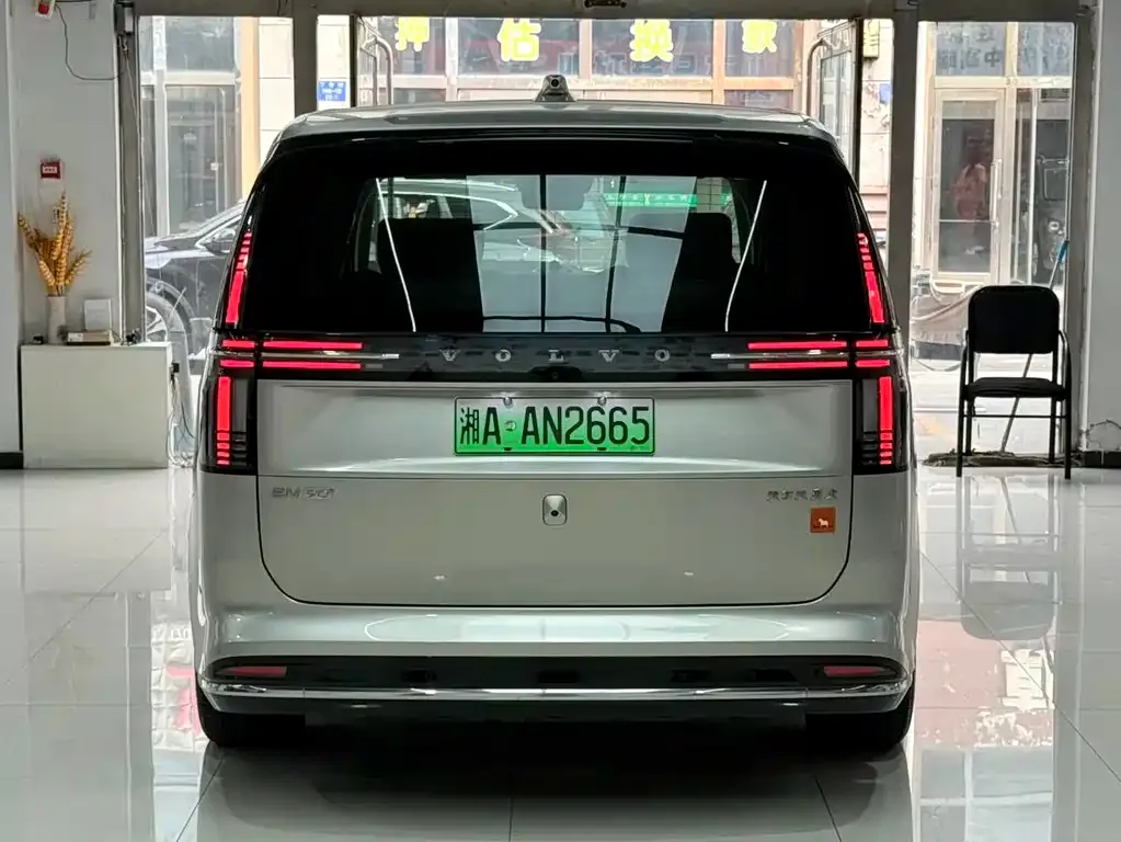 Volvo EM90 2024 из CN, фото 6