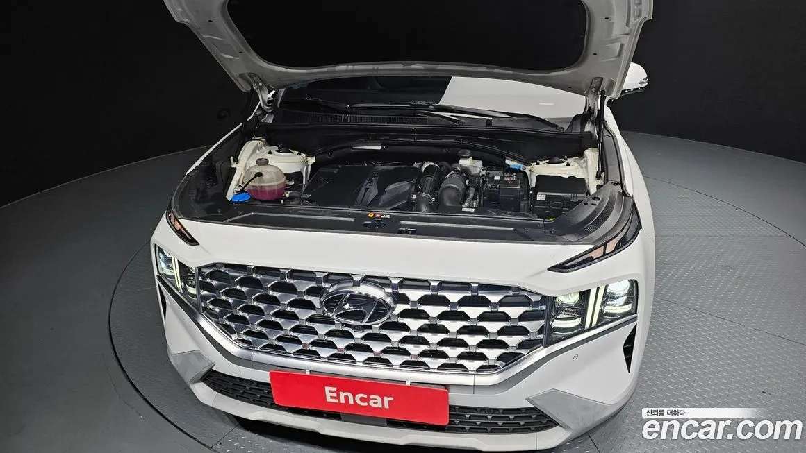 Hyundai Santafe 2021 из KR, фото 6