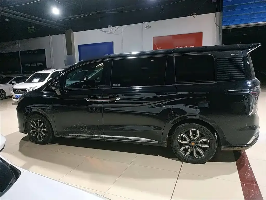 Hongqi HQ9 2023 из CN, фото 5