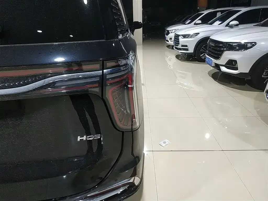 Hongqi HQ9 2023 из CN, фото 8