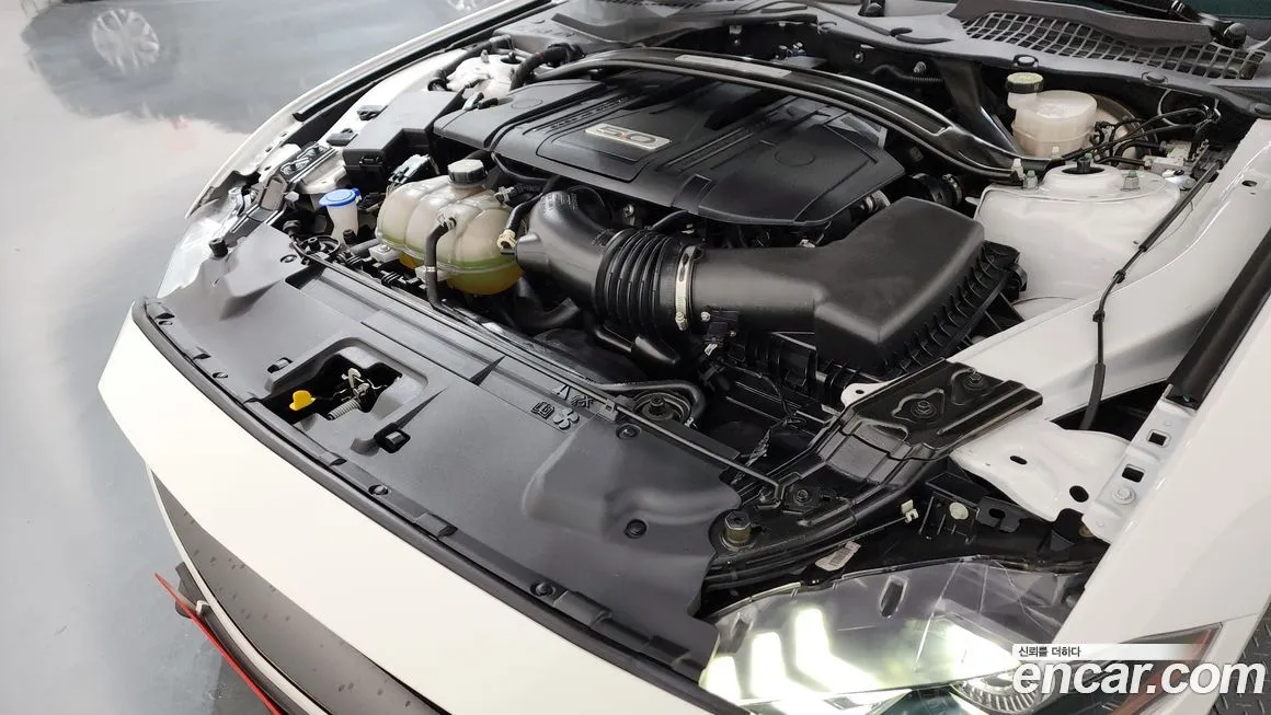 Ford Mustang 2021 из KR, фото 6