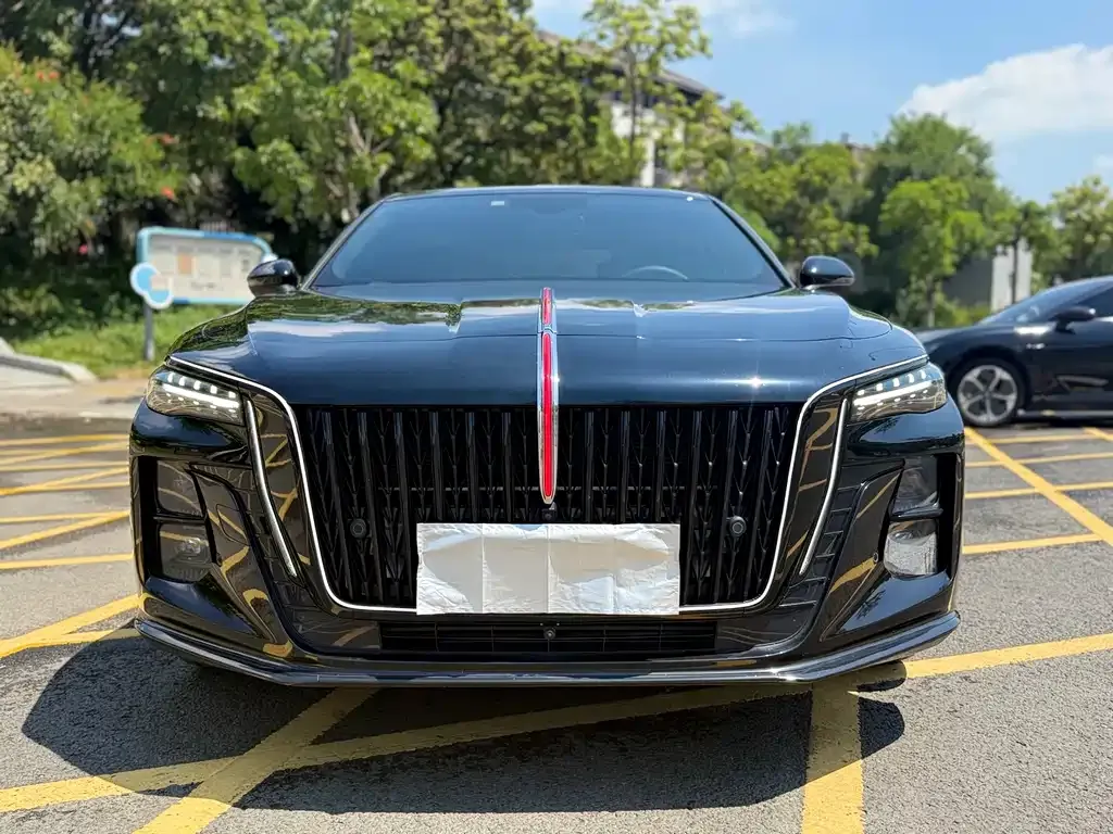 Hongqi H5 2024 из CN, фото 2