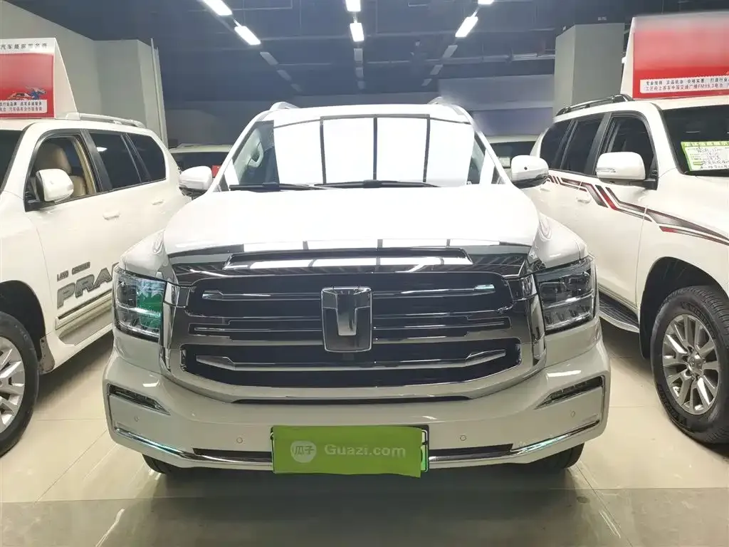Tank 500 New Energy 2024 из CN, фото 3