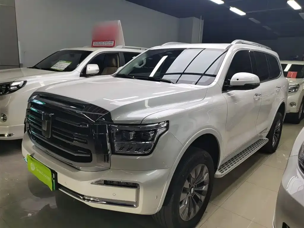 Tank 500 New Energy 2024 из CN, фото 5