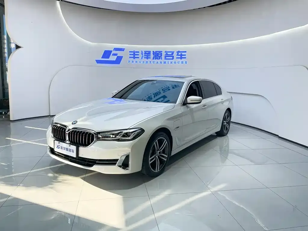 BMW 5 Series New Energy 2022 из CN, фото 1