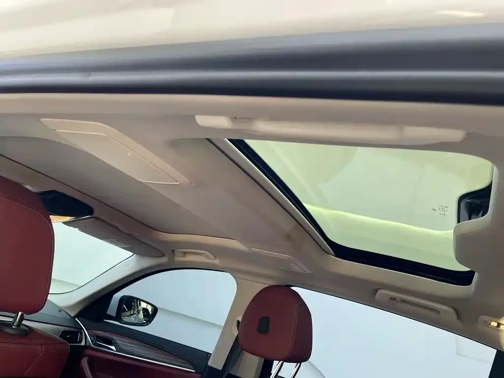 BMW 5 Series New Energy 2022 из CN, фото 10