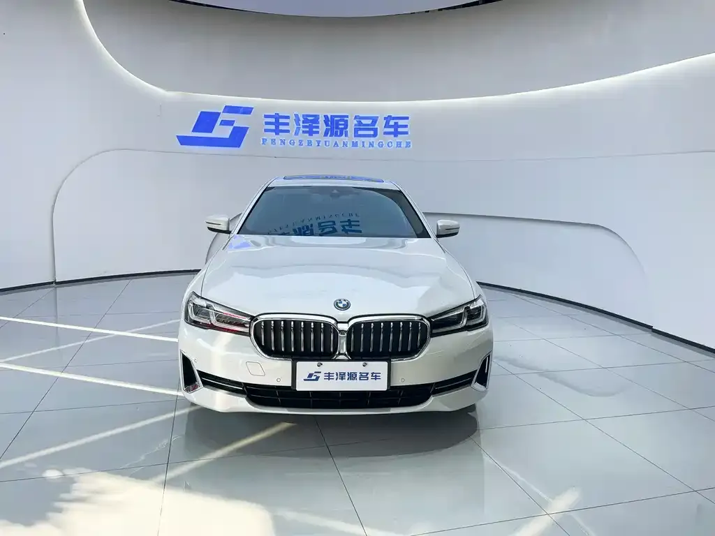 BMW 5 Series New Energy 2022 из CN, фото 2