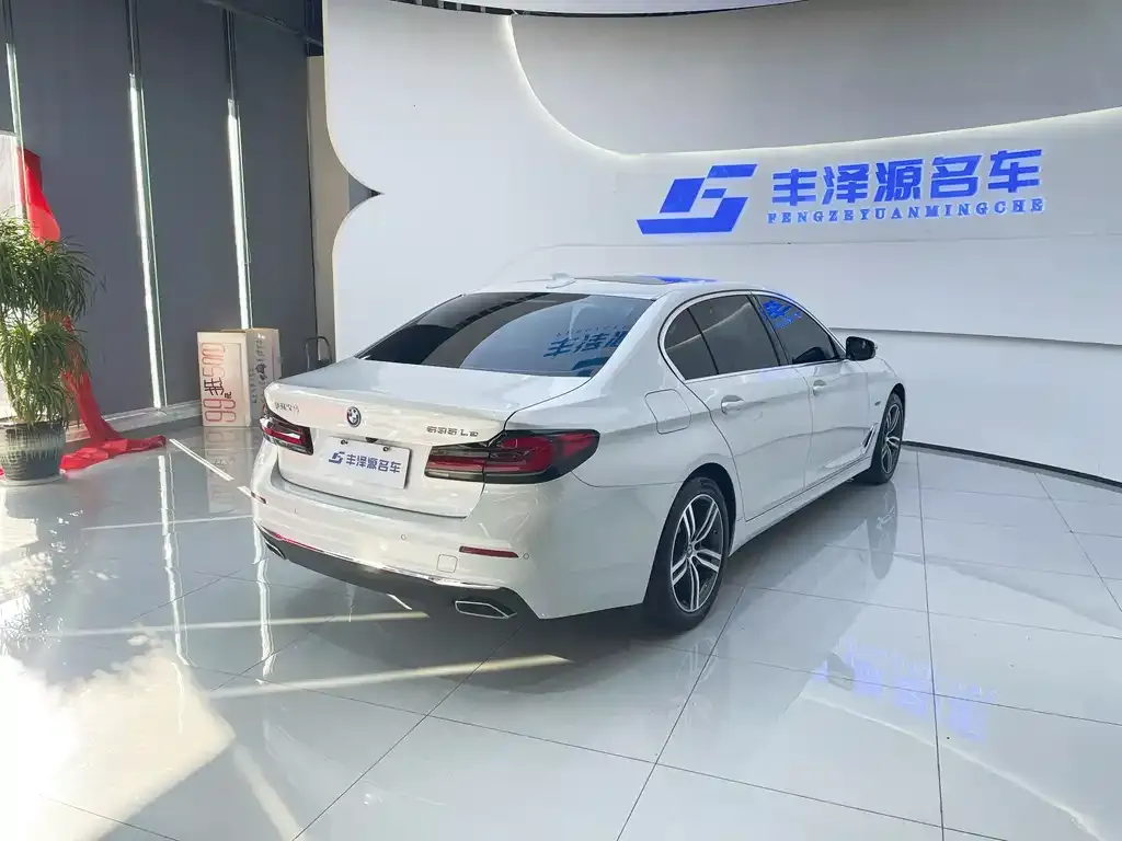 BMW 5 Series New Energy 2022 из CN, фото 3