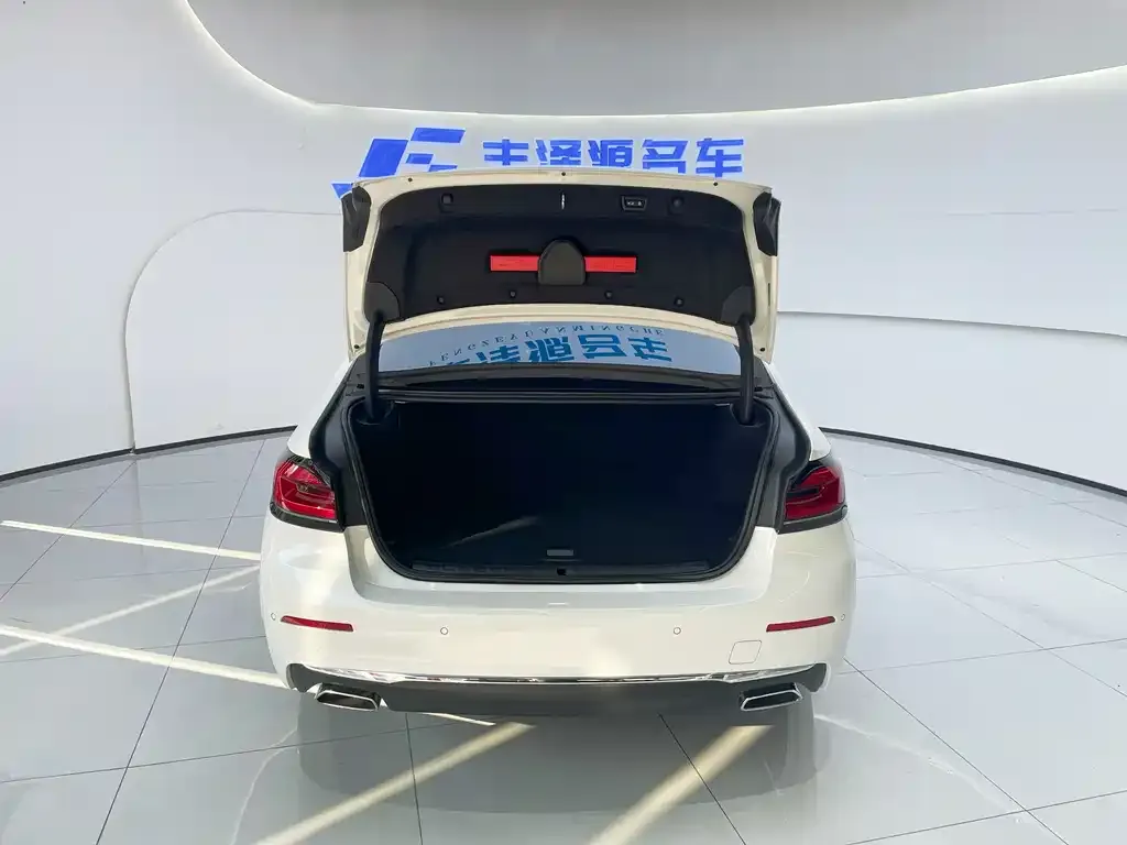 BMW 5 Series New Energy 2022 из CN, фото 6