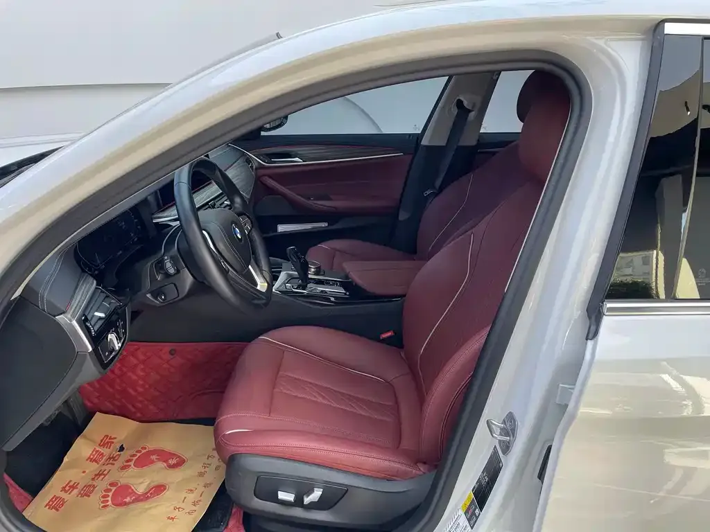 BMW 5 Series New Energy 2022 из CN, фото 7