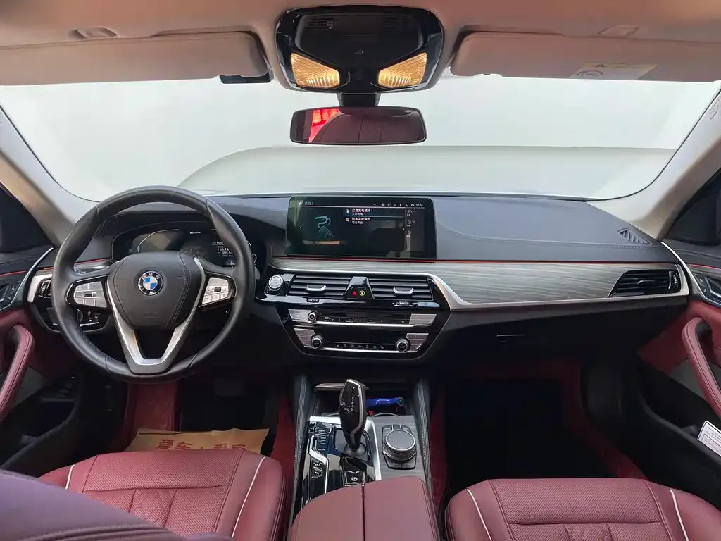 BMW 5 Series New Energy 2022 из CN, фото 9